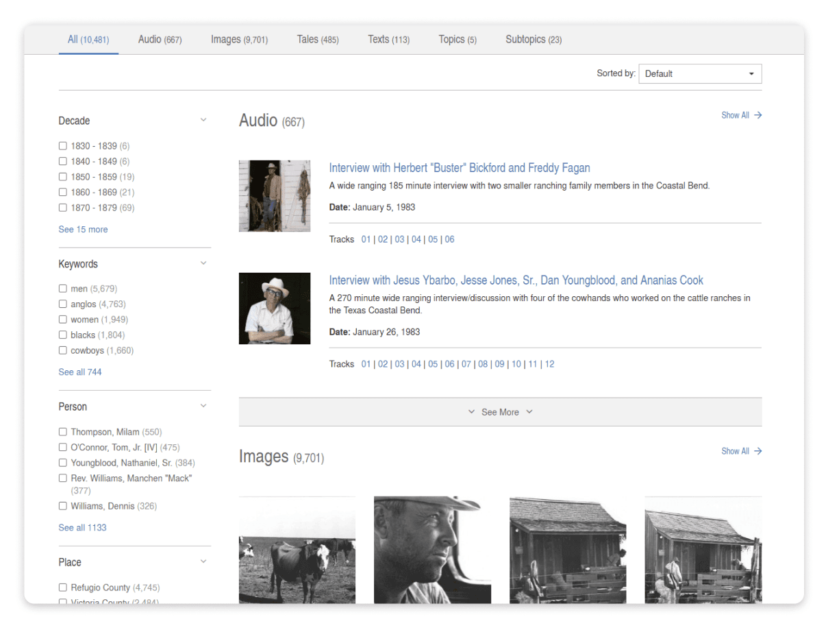 Faceted dynamic search results